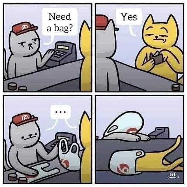 Need a bag? Camics