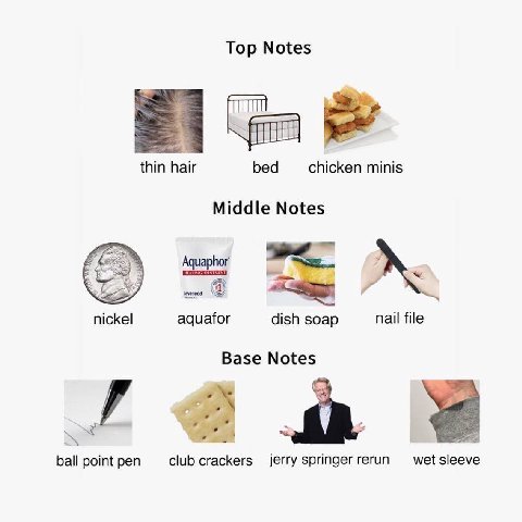Top Notes thin hair bed chicken minis Middle Notes У aquafor dish soap nail file Base Notes a club crackers wet sleeve ball point pen jerry springer rerun