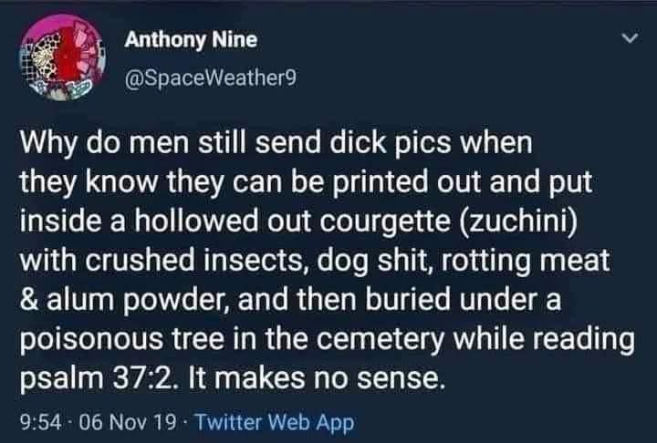 Anthony Nine 2 Why men still send dick pics when they know they can be printed out and put inside a hollowed out courgette (zuchini) with crushed insects, dog shit, rotting meat alum powder, and then 