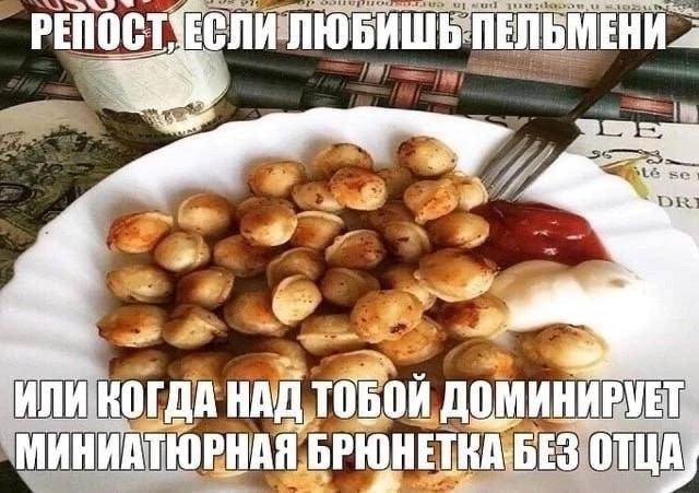 ЕСЛИ ЛЮБИШЬ ПЕЛЬМЕНИ 2 DRI +3 aN ГДА НАД I БРЮНЕТКА