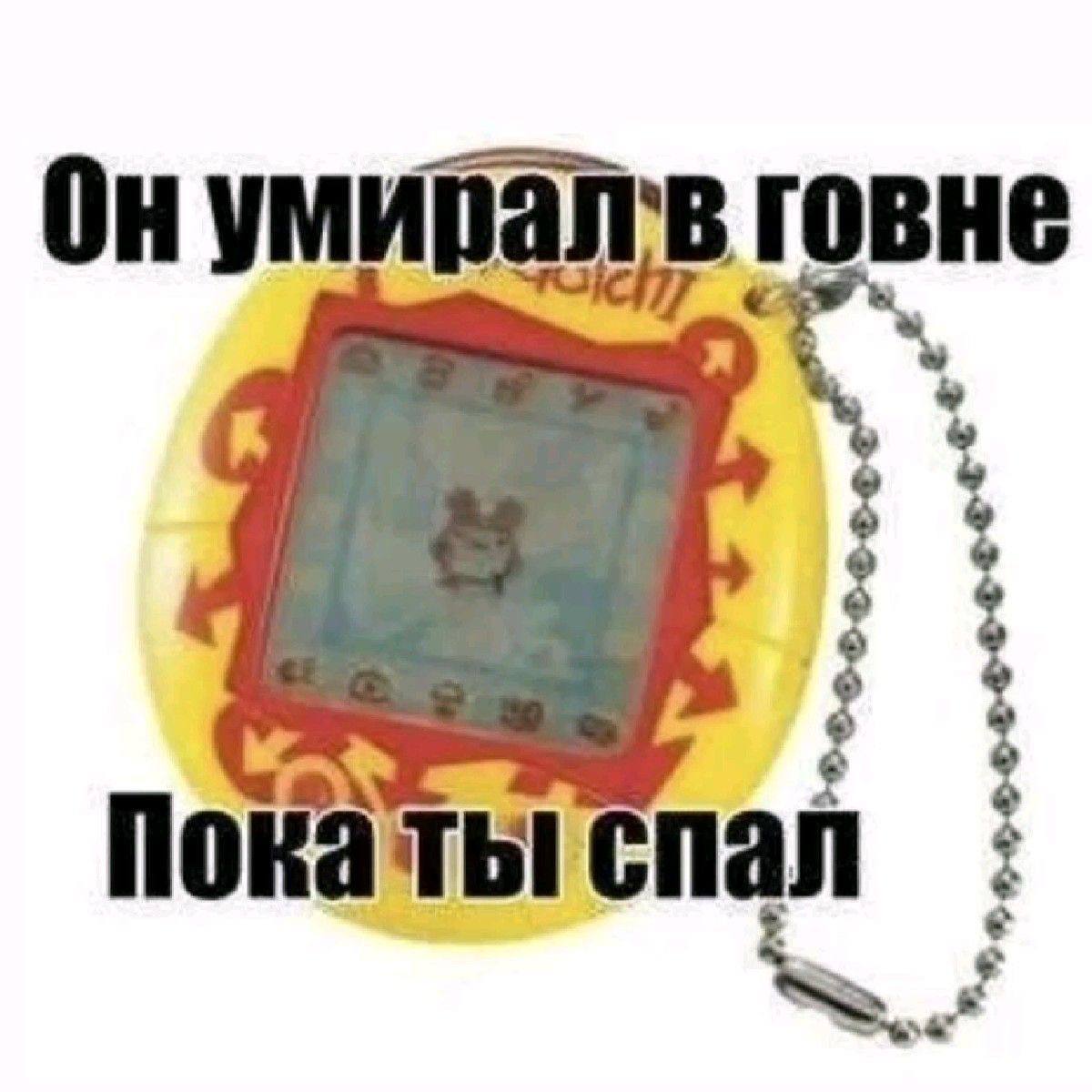 On говне Покать спал