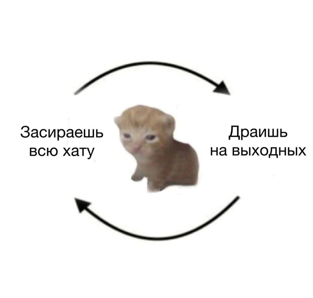 Засираешь Драишь всю хату на выходных