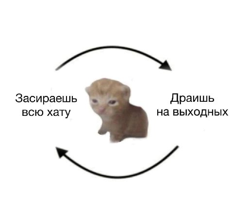 Засираешь Драишь всю хату на выходных