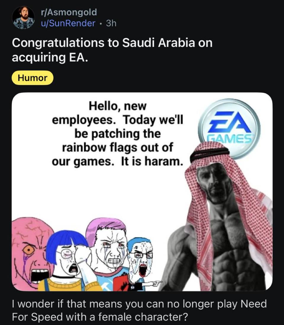 u/SunRender Congratulations to Saudi Arabia on acquiring Hello, new employees. Today we'll А be patching the rainbow flags out of our games. Itis haram. 4 я и A У, wonder if that means you can no long