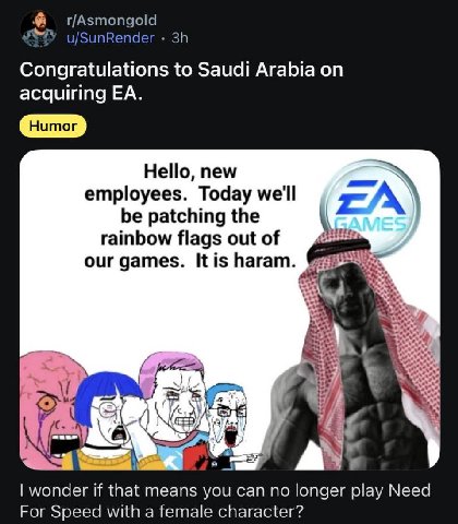 u/SunRender Congratulations to Saudi Arabia on acquiring Hello, new employees. Today we'll А be patching the rainbow flags out of our games. Itis haram. 4 я и A У, wonder if that means you can no long