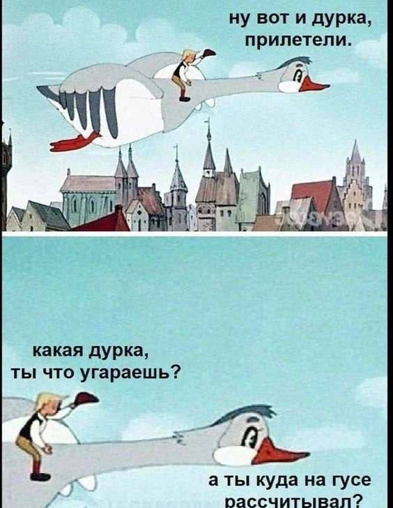 ну вот и дурка, прилетели. fit (25 at какая дурка, ты что угараешь? а ты куда на гусе рассчитывап?