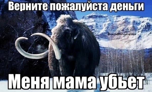 Верните пожалуйста деньги