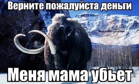 Верните пожалуйста деньги