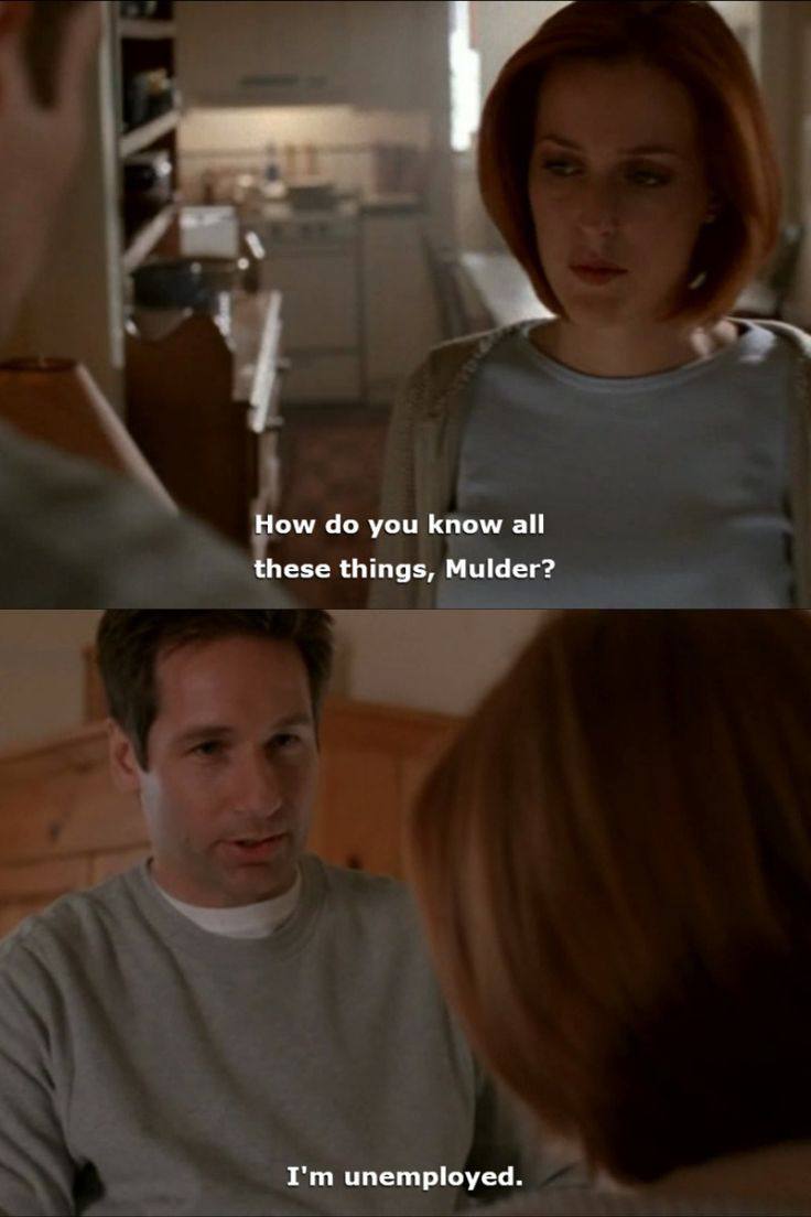 How you know these things, Mulder? unemployed.