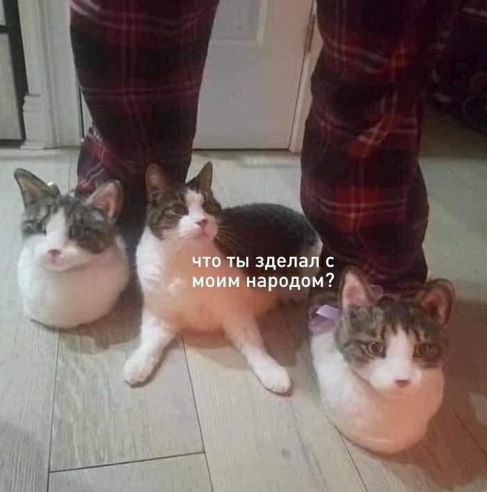 что ты зделал с моим народом?