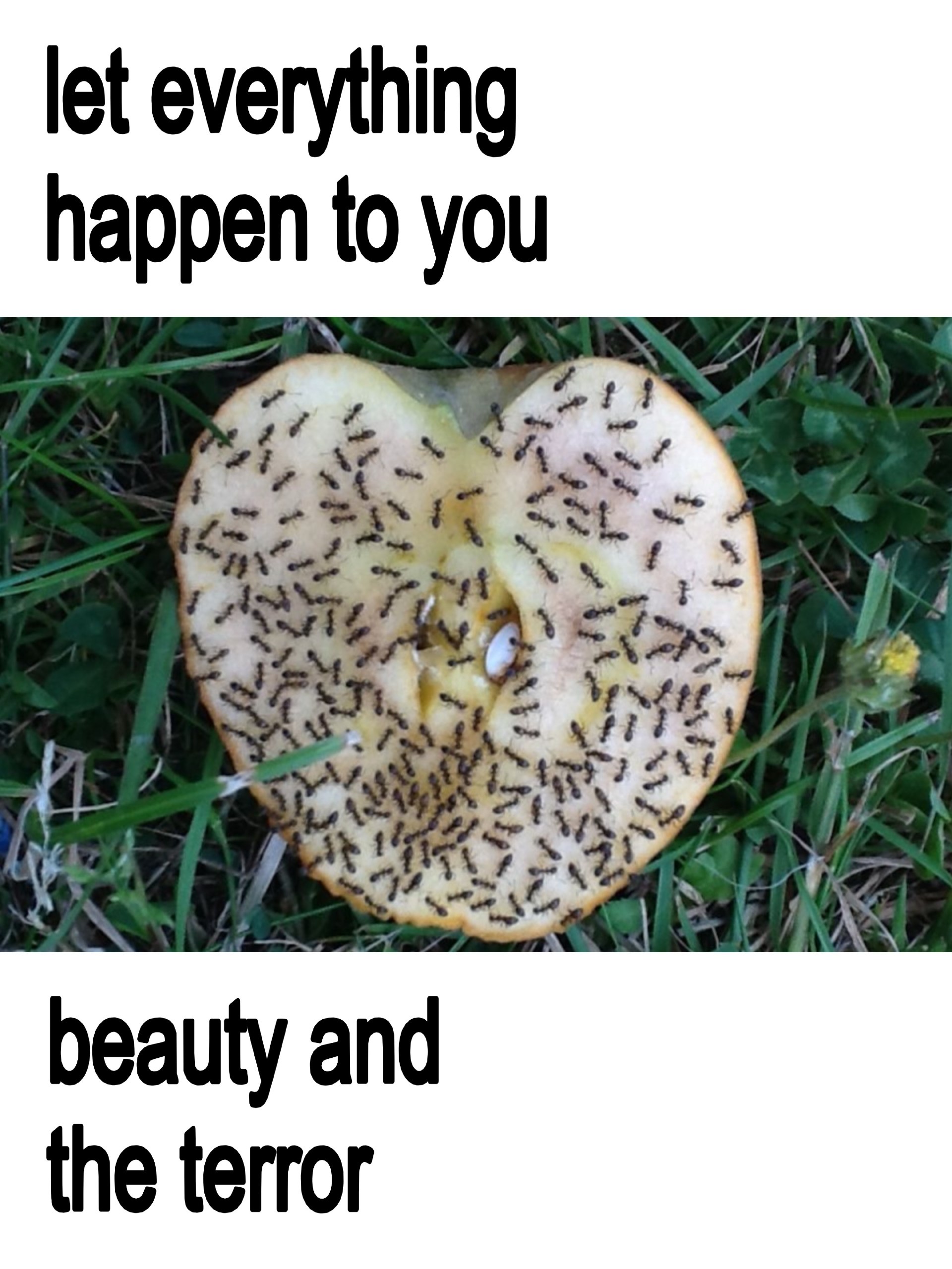 let everything happen to you ryt У beauty an the terror