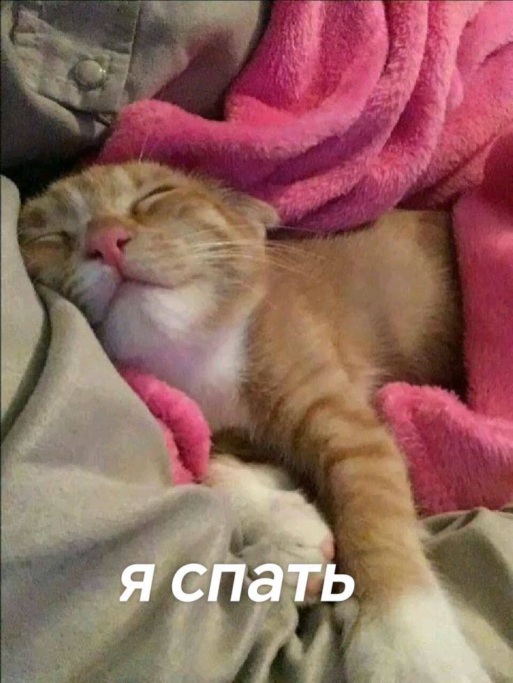 спать