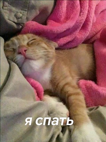 спать