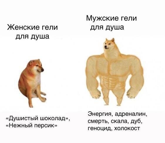 Мужские гели Женские гели для душа для душа Энергия, адреналин, «Душистый шоколад», смерть, скала, дуб, «Нежный персик» геноцид, холокост