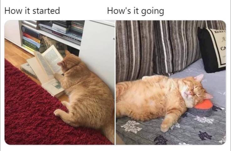 How it started How's it going