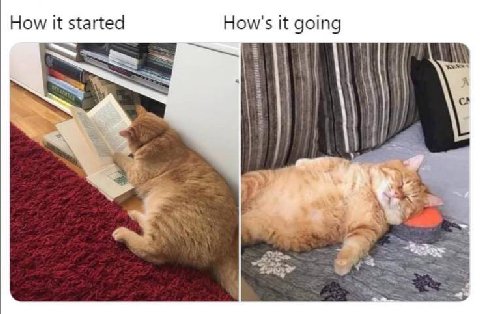 How it started How's it going
