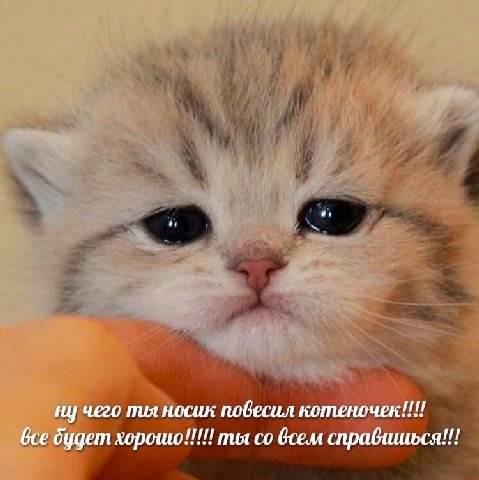 4 #7 ну чего ты носик подесил котеночек все будет хорошю!!!!! тия всем справишься!!!