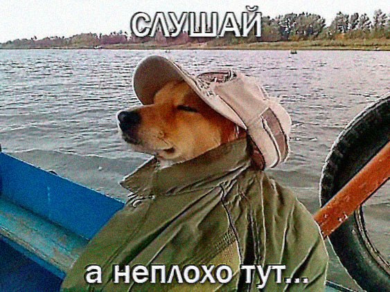 2 i у be 3 7 и у 7 и к A 19 У я ENN а i 7 13 я я