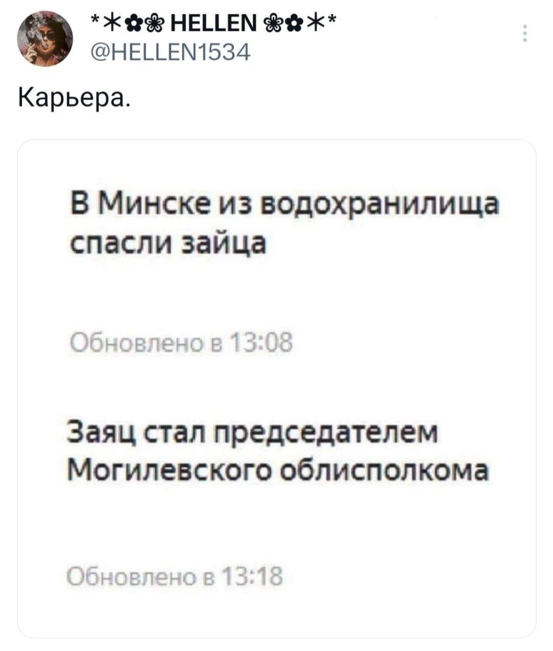 HELLEN @HELLEN1534 Kapbepa. В Минске из водохранилища спасли зайца Заяц стал председателем Могилевского облисполкома