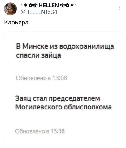 HELLEN @HELLEN1534 Kapbepa. В Минске из водохранилища спасли зайца Заяц стал председателем Могилевского облисполкома