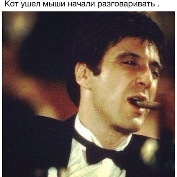 Кот ушел мыши начали разговаривать