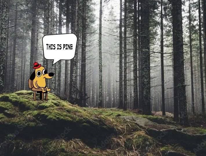 ‘4 3 ARS be