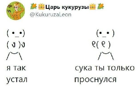 Я так сука ты только устал проснулся