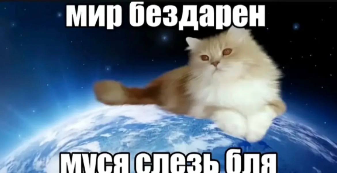 мир бездарен fing