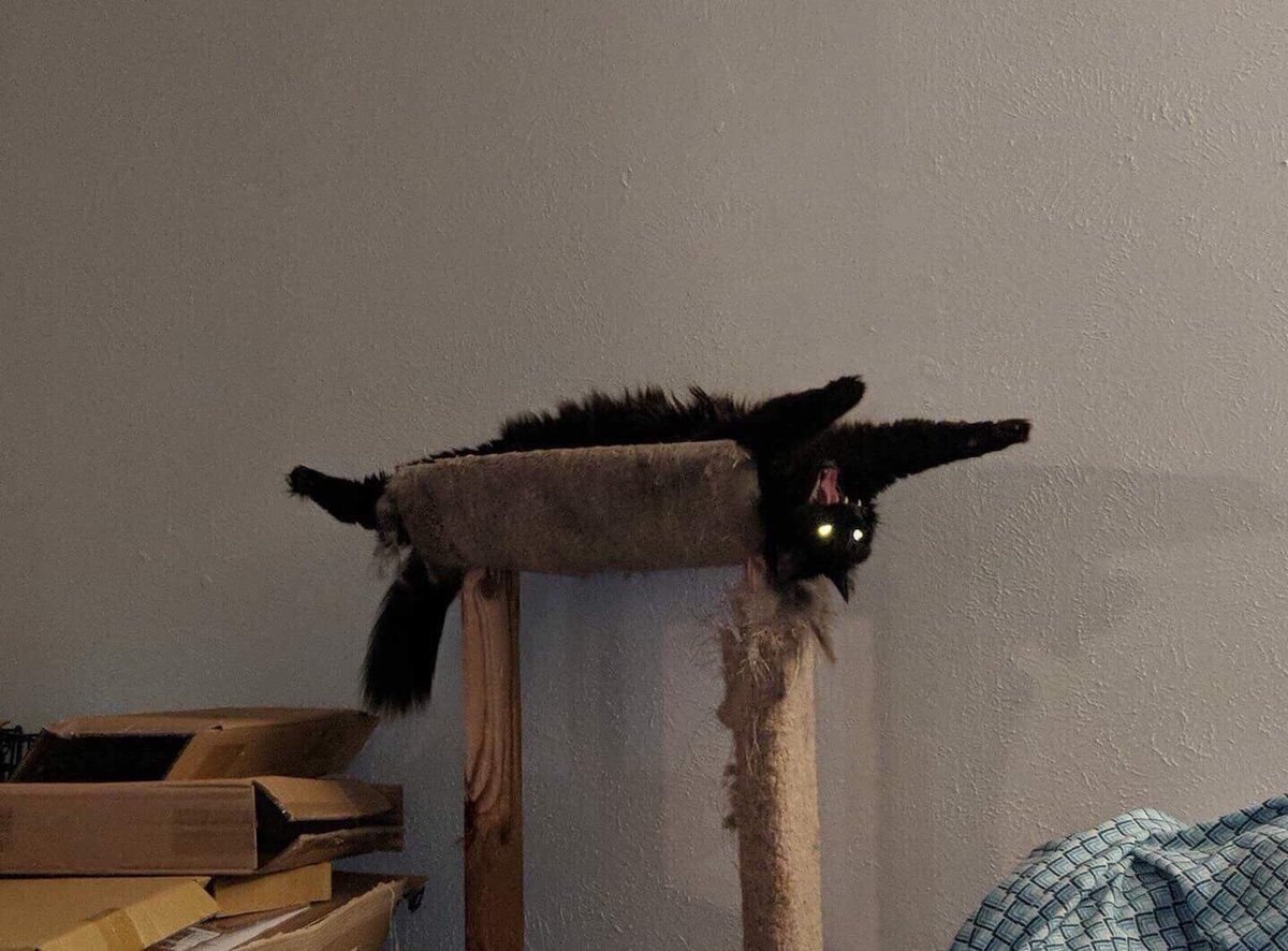 1 9