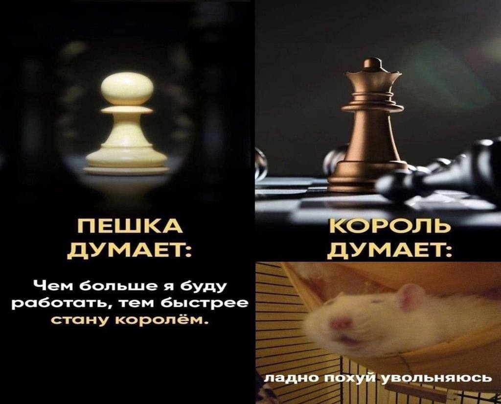 i ПЕШКА КОРОЛЬ ДУМАЕТ: ДУМАЕТ: Чем большея работать, тем быстрее стану королем. ладно похуй увольняюсь