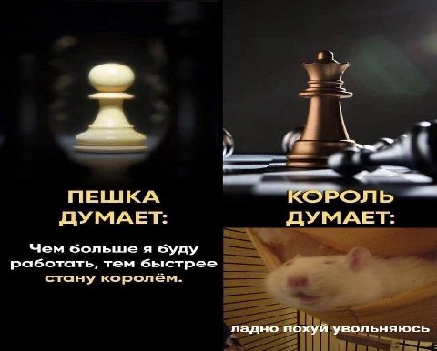 i ПЕШКА КОРОЛЬ ДУМАЕТ: ДУМАЕТ: Чем большея работать, тем быстрее стану королем. ладно похуй увольняюсь