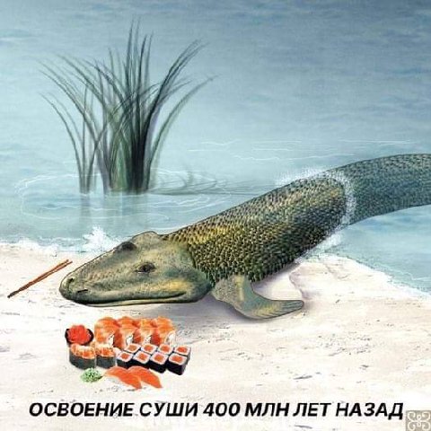 (и А ОСВОЕНИЕ СУШИ 400 МЛН ЛЕТ НАЗАД