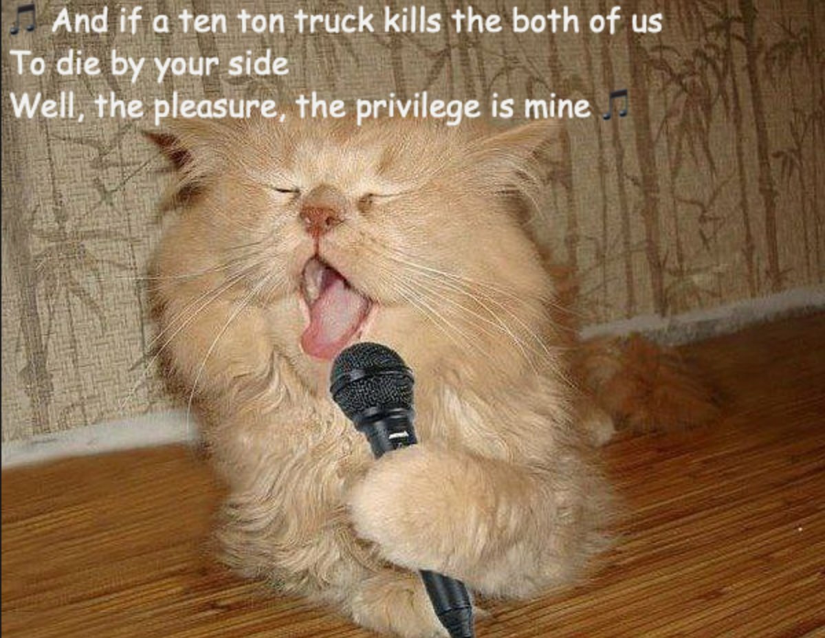 And if a ten ton truck kills the both of To die your side Well, the pleasure, the privilege is mine