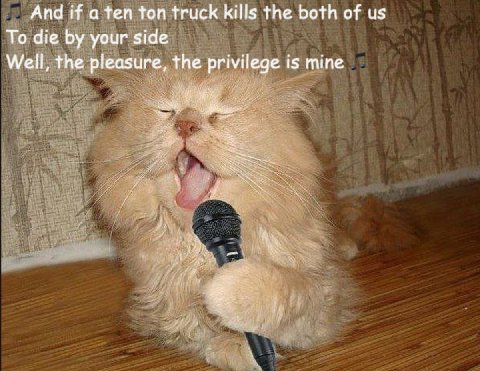 And if a ten ton truck kills the both of To die your side Well, the pleasure, the privilege is mine