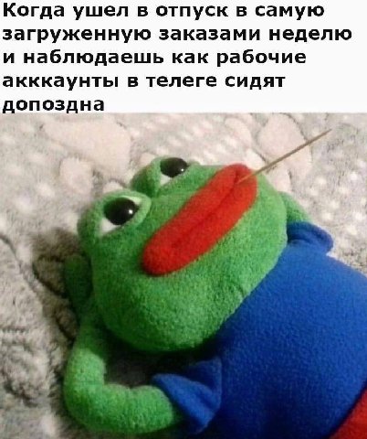Когда ушел в отпуск в самую загруженную заказами неделю и наблюдаешь как рабочие акккаунты в телеге сидят допоздна у, “а