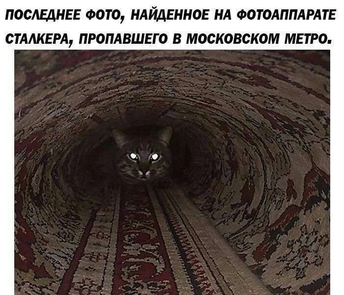 ПОСЛЕДНЕЕ ФОТО, НАЙДЕННОЕ НА ФОТОАППАРАТЕ СТАЛКЕРА, ПРОПАВШЕГО В МОСКОВСКОМ МЕТРО.
