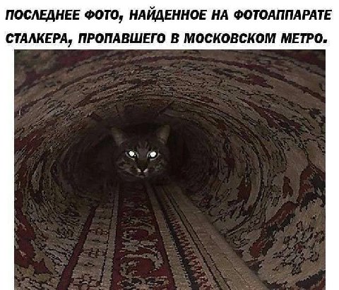 ПОСЛЕДНЕЕ ФОТО, НАЙДЕННОЕ НА ФОТОАППАРАТЕ СТАЛКЕРА, ПРОПАВШЕГО В МОСКОВСКОМ МЕТРО.