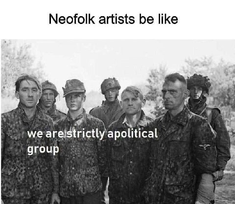 Neofolk artists be like apolitical group