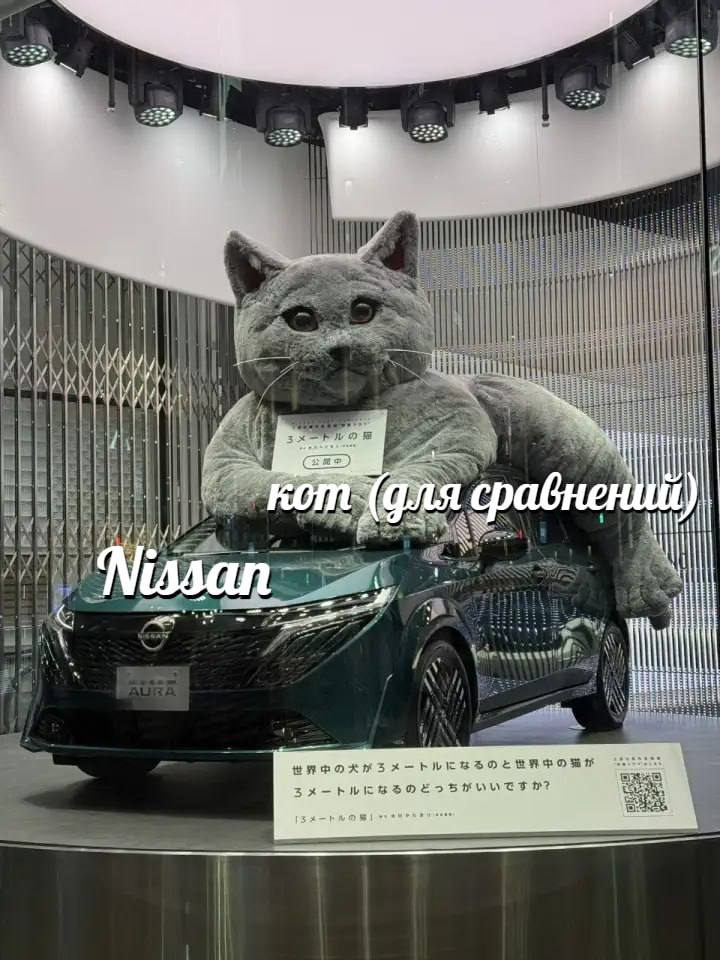 9 (фля