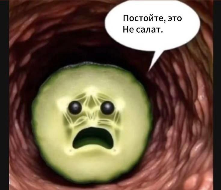 Постойте, это Не салат.
