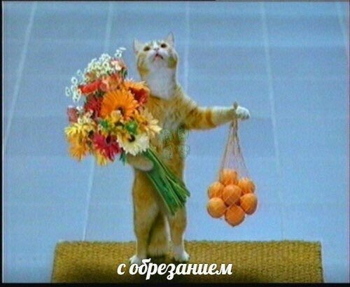 a собрезанием