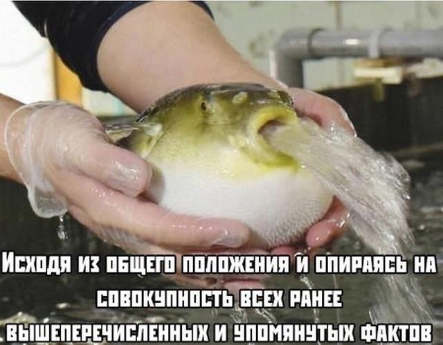 Модер на меге: