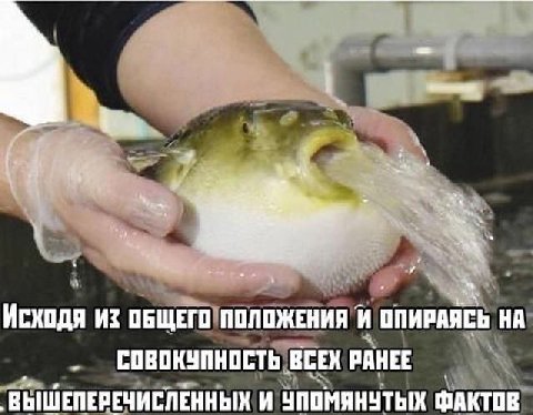 Модер на меге: