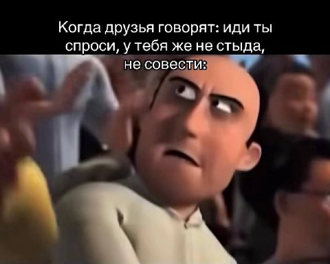Когда друзья говорят: иди ты спроси, у тебя же не стыда, не совести: