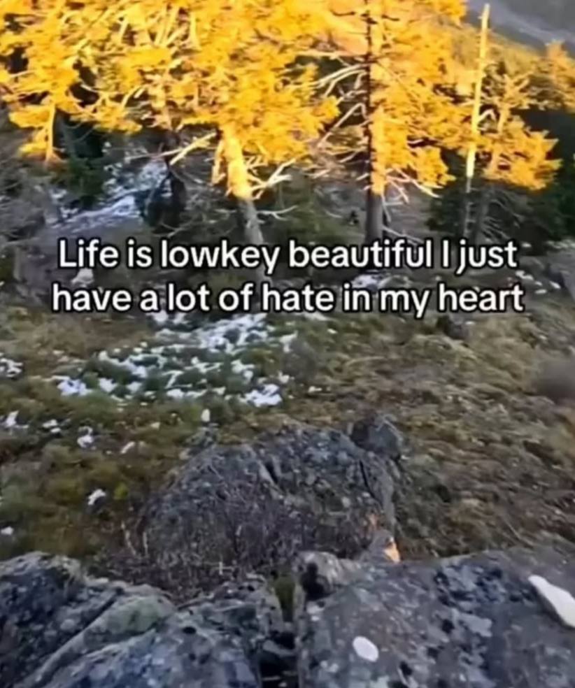 Доброе утро