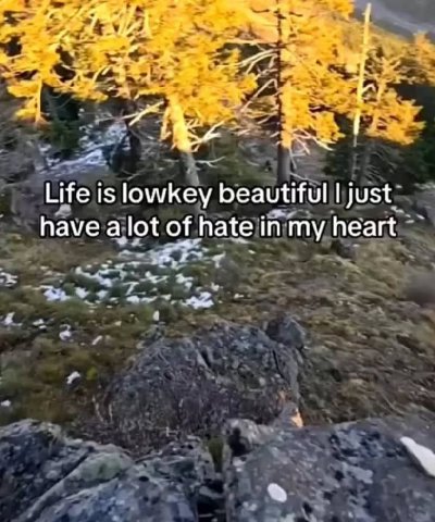 Доброе утро