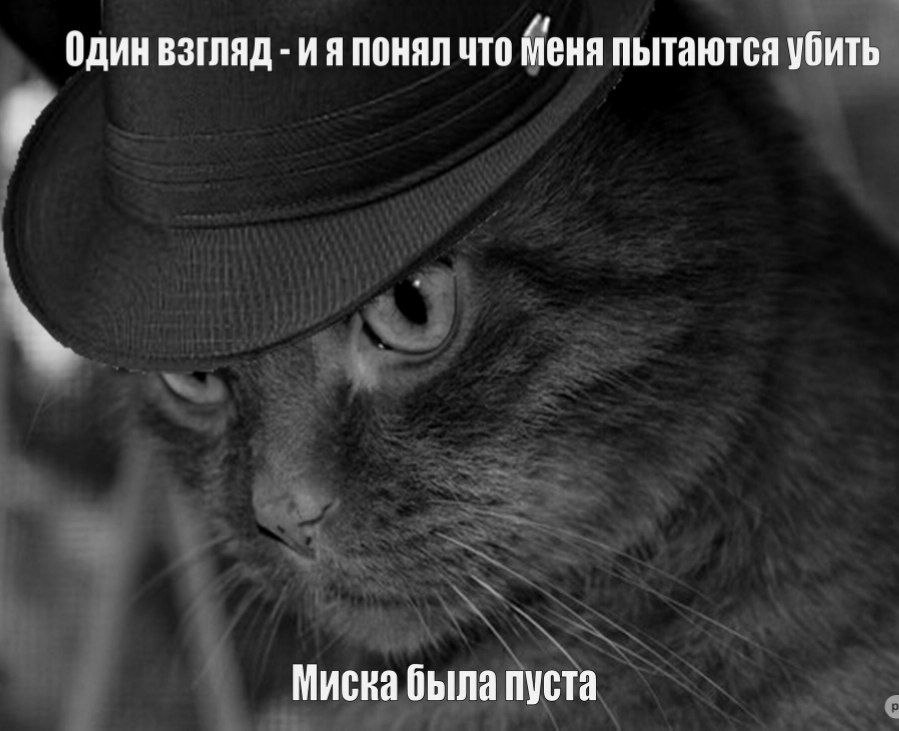 Один взгляд понял что Меня пытаются убить Миска была пуста