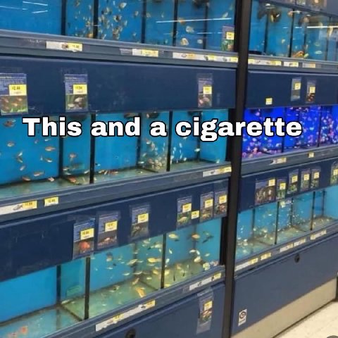 a а This and a cigarette 2 8 я аня 4 at