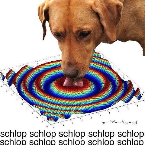 +9, 49, 4 Witty, My Why 9 4 schlop schlop schlop schlop schlop echlon schlon schlon schlon schlon