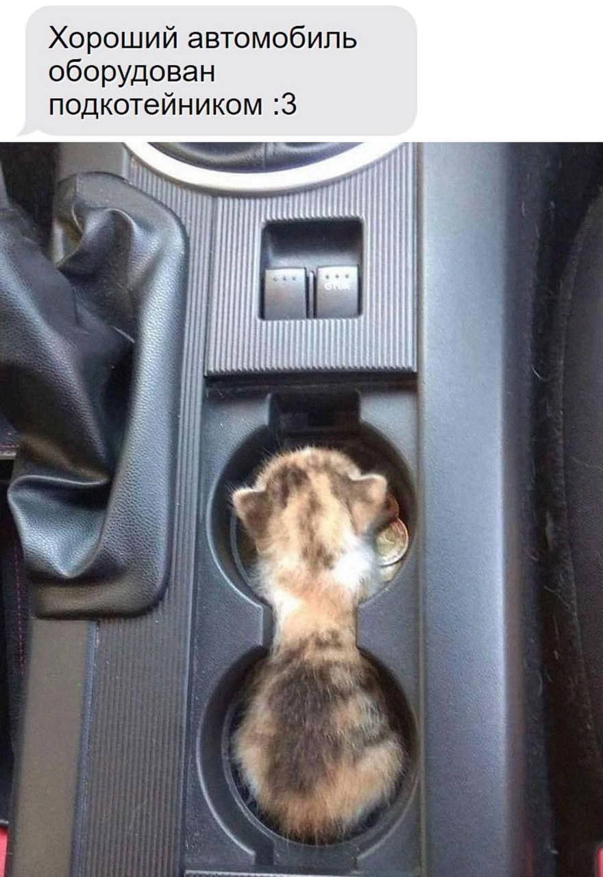 Хороший автомобиль оборудован подкотейником :3